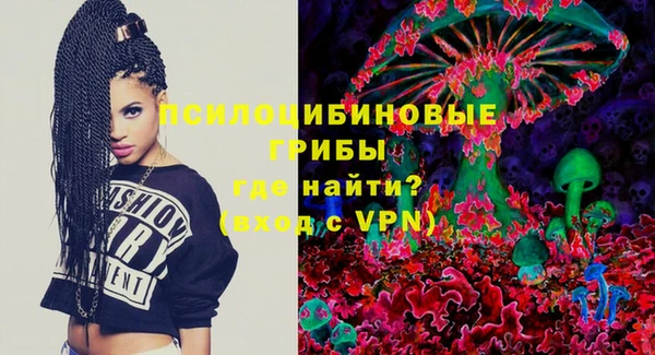 прущие грибы Арсеньев