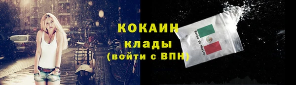прущие грибы Арсеньев