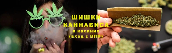 винт Аркадак