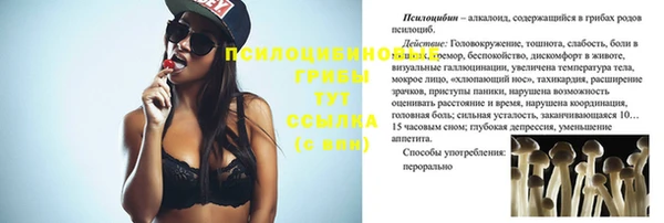 прущая мука Армянск