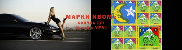 прущие грибы Арсеньев