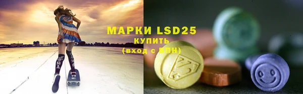PSILOCYBIN Сосновка