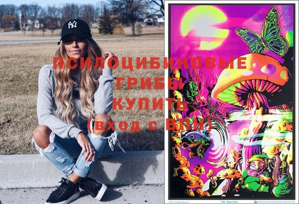 mix Сосновый Бор