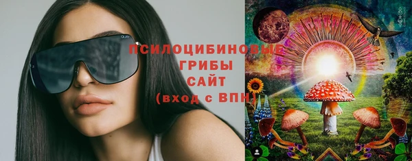 PSILOCYBIN Сосновка