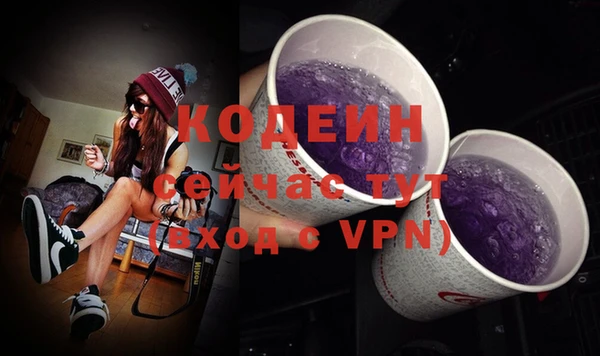 прущие грибы Арсеньев