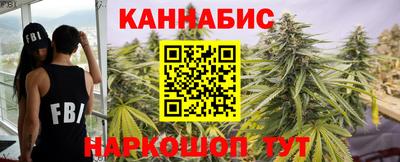 индика Мариинск