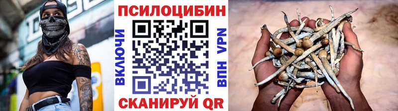 Псилоцибиновые грибы Psilocybine cubensis  даркнет сайт  Глазов 