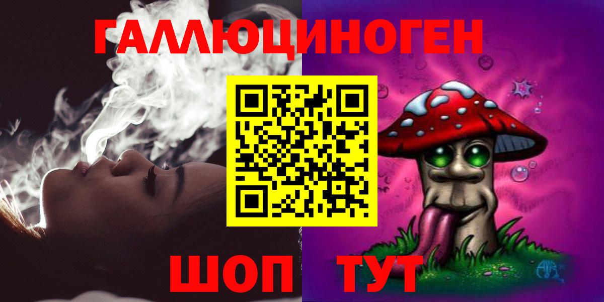 Галлюциногенные грибы Psilocybine cubensis Глазов