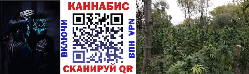 Марихуана гибрид Глазов