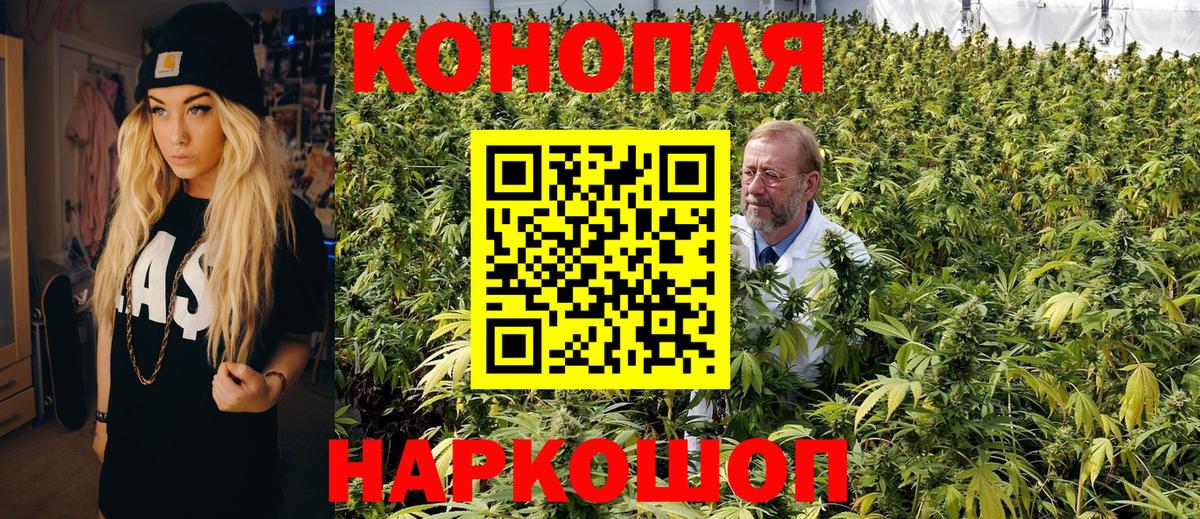 Глазов  Конопля планчик  Вход с VPN  Бошки марихуана гибрид  Канабис Bruce Banner 